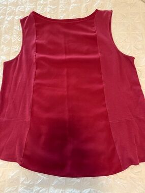 Alex Marie Dark red Sleeveless Panel Blouse